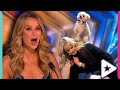 AMAZING Dog Act is BACK on Britain&#39;s Got Talent!