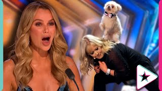 AMAZING Dog Act is BACK on Britain&#39;s Got Talent!