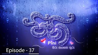 Pini | Episode 37 | ITN