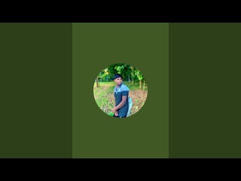 লাইভে চলে আসলাম☺️