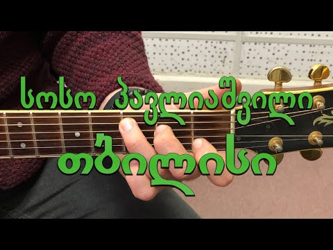 სოსო პავლიაშვილი თბილისი soso pavliashvili tbilisi