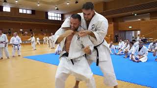 Koryu Uchinadi Okinawa Gasshuku 2024 trailer - Decoding the Bubishi