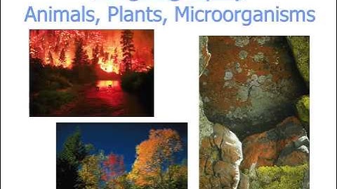 1. Introduction to Physical Geography