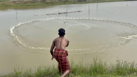 Cast Net Fishing | Village Fishermen Casting Fish With A Cast Net By Beautiful Nature 