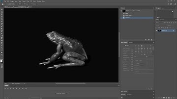 How to Convert an Image to Grayscale in PhotoshopCC
