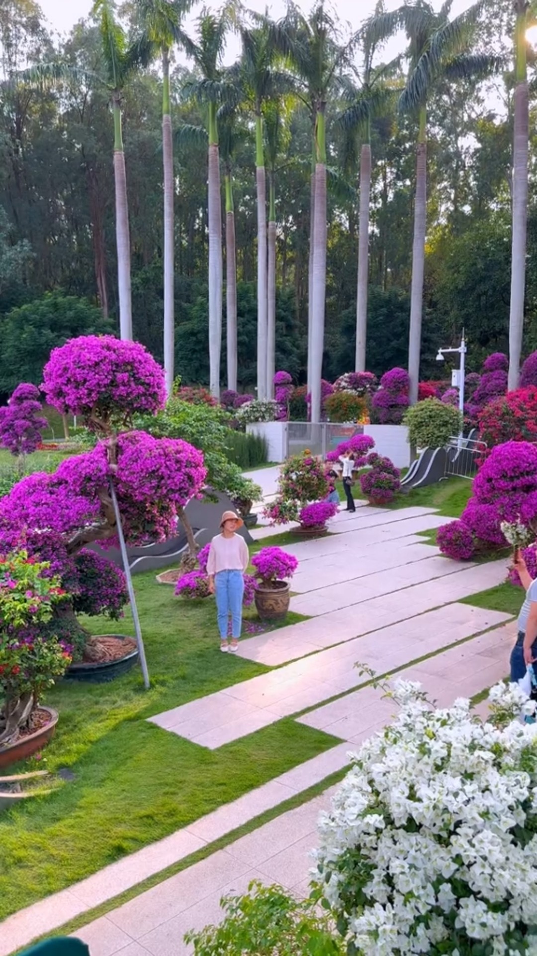 Colorful Flower Garden Tour | Nature Lover's Paradise