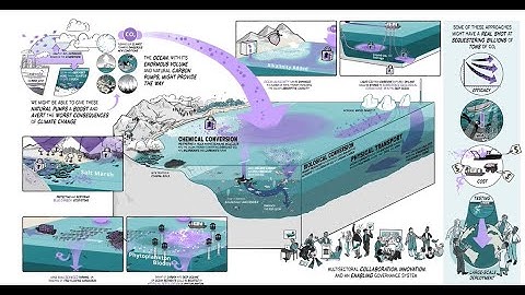 Ocean Carbon Dioxide Removal (CDR) - a ClimateWorks production