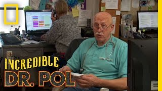 Polments: Fans Old and New | The Incredible Dr. Pol