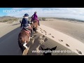 Mongolia horse trail  gallop in the gobi desert  by mongolia travel  tours