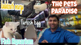All Pets Paradise | Fish Aquarium | Cat | Sab Tarike Ke Animal Milege | Bhopal Animal Shop | 