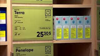 Inside the new SQDC stores (Quebec government marijuana stores)