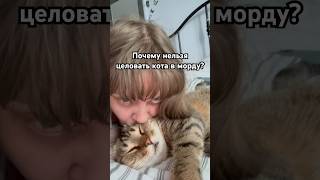 Почему нельзя целовать кота в морду?#кот#cat#catlover#кошки