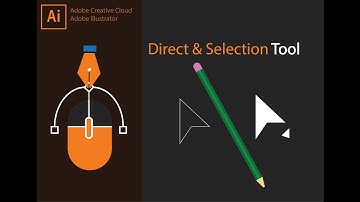 Adobe Illustrator Training - Class 3 - Selection Tool Urdu / Hindi
