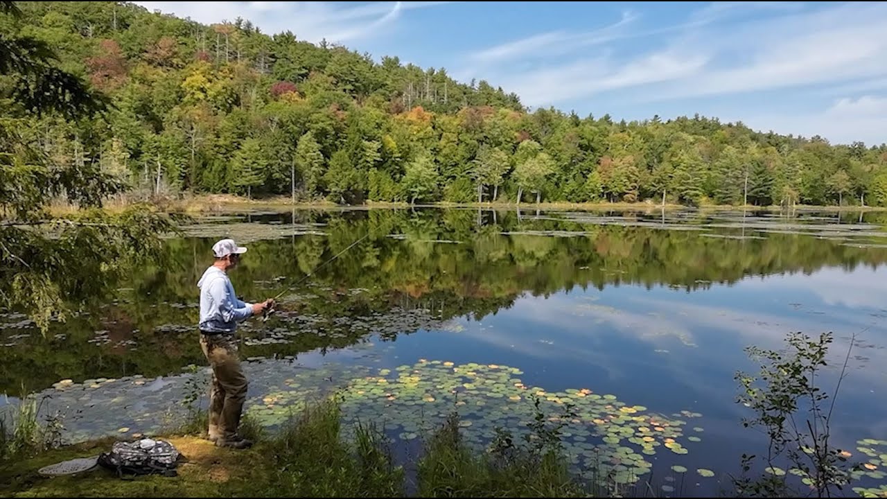g loomis bass fishing rods G Loomis Jig & Worm Casting Rod