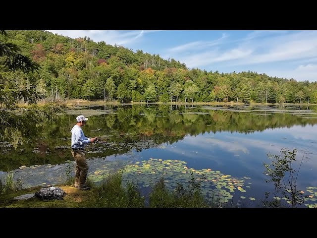 best jigging reels saltwater TR12000 Reel Conventional Fishing Reel with 8Stainless Steel Bearings Carbon Fiber : Sports & Outdoors Waterproof Brake System Color_Clear Model:ABF-6000 Hubless fly reel design