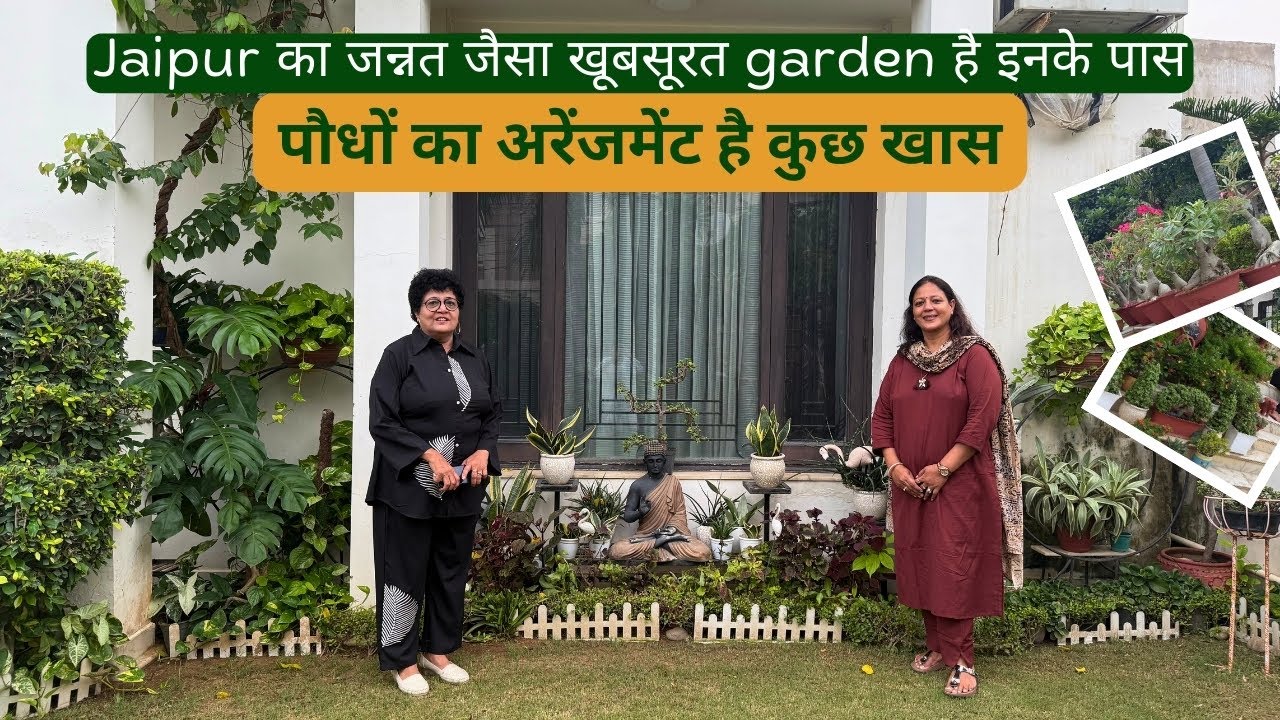 Jaipur का जन्नत जैसा खूबसूरत garden है इनके पास  | पौधों का अरेंजमेंट है कुछ खास