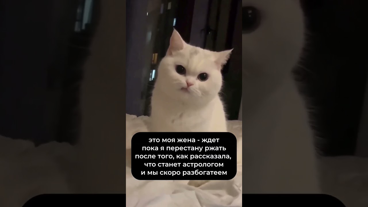 спойлер -да 