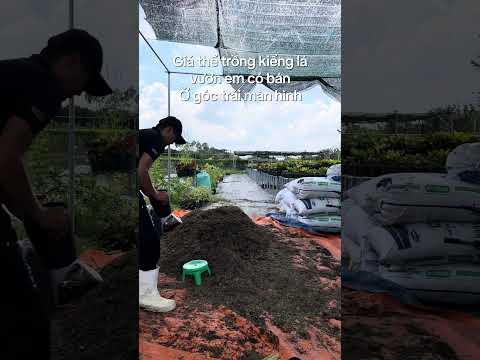 Mấy anh chị mua giá thể về ươm cây là hết sẩy nhenSADEC91