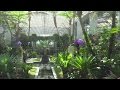 4K　奇跡の星の植物館①　トロピカルガーデン編 の動画、YouTube動画。
