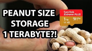 Tech Milestone 1Tb Microsd Card Stories Of The World