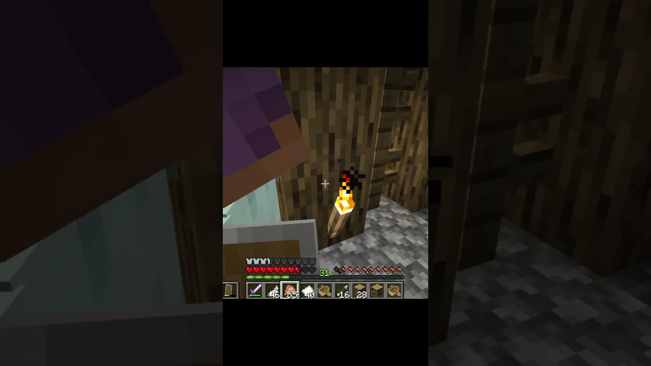 Creeper's Revenge | Minecraft Funny Moments 