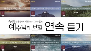 [보혈기도00] 속사람을 온전하게 세워가는 기도와 선포, 예수님의 보혈 (전체 듣기ver) | 아테프 메시레키