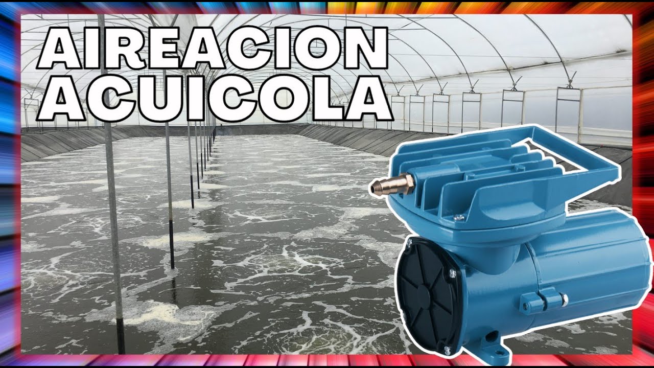 Aireadores para PISCICULTURA | 💣 Bomba de AIRE para peces RESUN MPQ-907A
