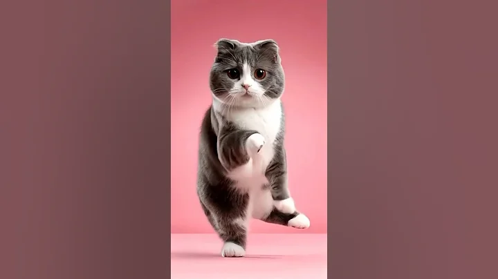 Watch the video about Cat Dance for 21 seconds❤️| Cute Munchkin #meow #ai #cat #lovecats #cats#catvideos #funny #kittens