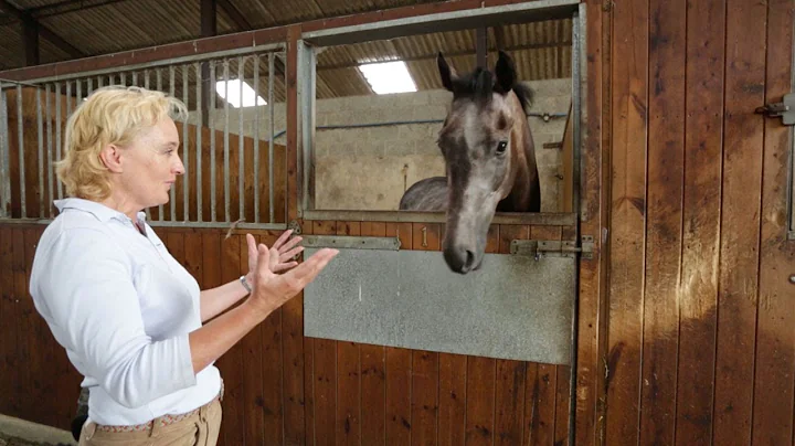 Opera Singer Is Racehorse Trainer