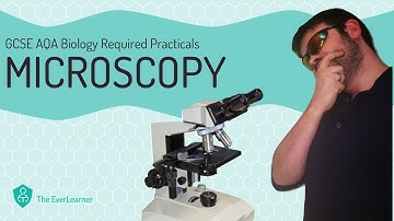 AQA GCSE Biology (9-1): Required Practical - Microscopy