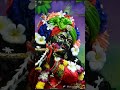 bolo prem se radhe radhe 🌸🌸🌸🌸🌺🌺🌺🌺🌺🌺🌺🌸🌸