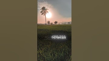 سورة الضحى بصوت الشيخ محمد صديق المنشاوي رحمه الله #المنشاوي #محمد_صديق_المنشاوي #قرآن #قران_كريم