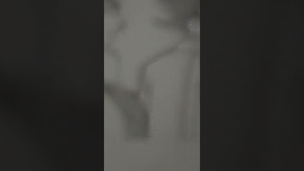 drawing Goku and Vegeta sab jacket