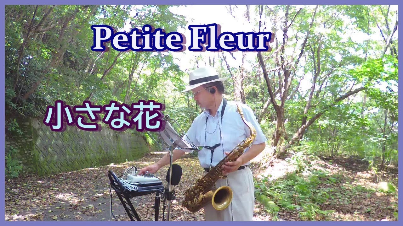 Petite Fleur 小さな花 7 テナーサックスで懐かしのメロディー テナーサックス 可愛い花 ザピーナッツ Youtube