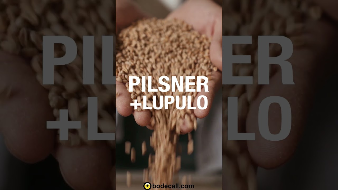 Lager vs Pilsner ¿Cuál es la diferencia?