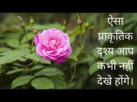 4 Minute 4K Video Nature Beauty Scenes And Music Too