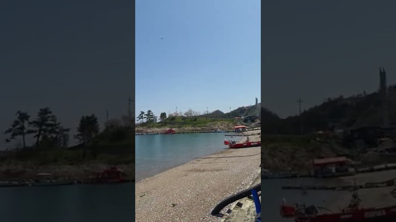 #shorts  장자도..#도시어부  다녀갔다는곳서 식사하고갑니다