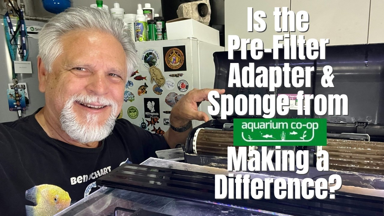 Pre-Filter Adapter & Sponge from Aquarium Co-Op *6 Month Follow-Up!*