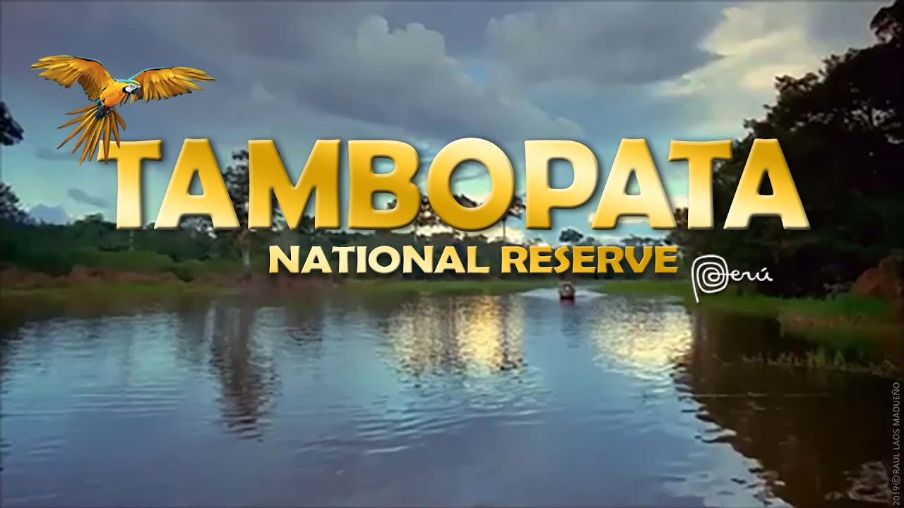 TAMBOPATA WILDLIFE RESERVE & RESEARCH CENTER / PERU