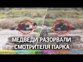 Видео: медведи разорвали человека на глазах у посетителей парка в Шанхае