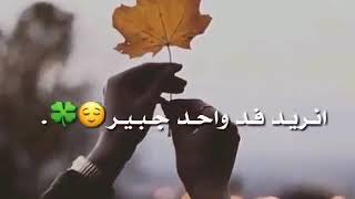 عشنا بيها بهدلة شهل حياة المهزله ------- screenshot 4