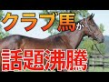 【好調】先週の競馬はクラブ所属馬が色々と話題に！重賞勝利から珍しい記録まで。【一口馬主】