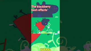 The Blackberry Bush Effects Sponcerd By Gamavision Effects