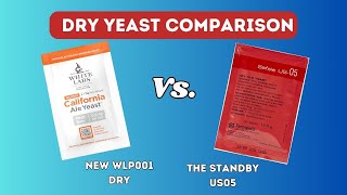 WLP001 vs. US05 Dry Yeast Comparison  Brew Dudes