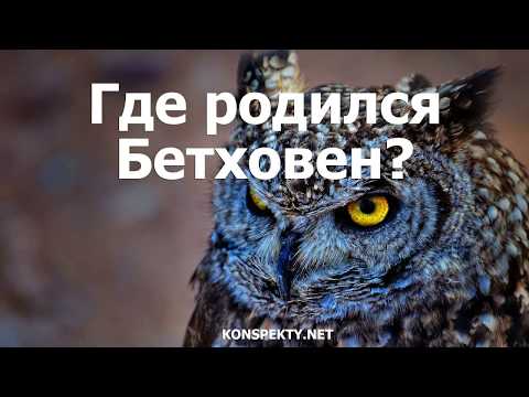 Где родился Бетховен?