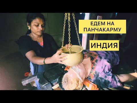 Аюрведа. Наша панчакарма в Индии | Моя Родина Земля