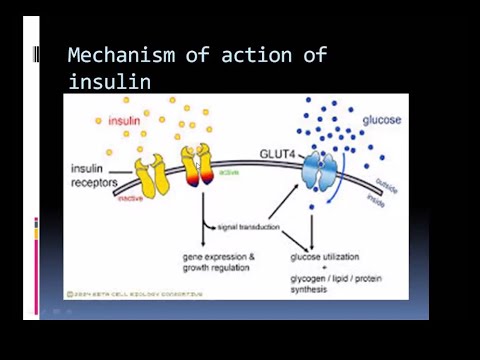 Diabetes Mellitus | Chemical Pathology Lecture |  Ample Medical Lectures | Third Year MBBS