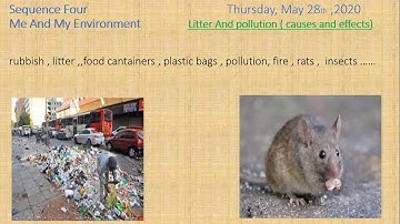 english 3 am sequence 4. lexis related to environment