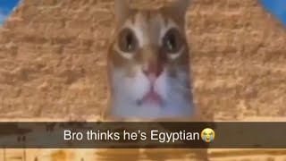 Offensive memes that if ylyl v137