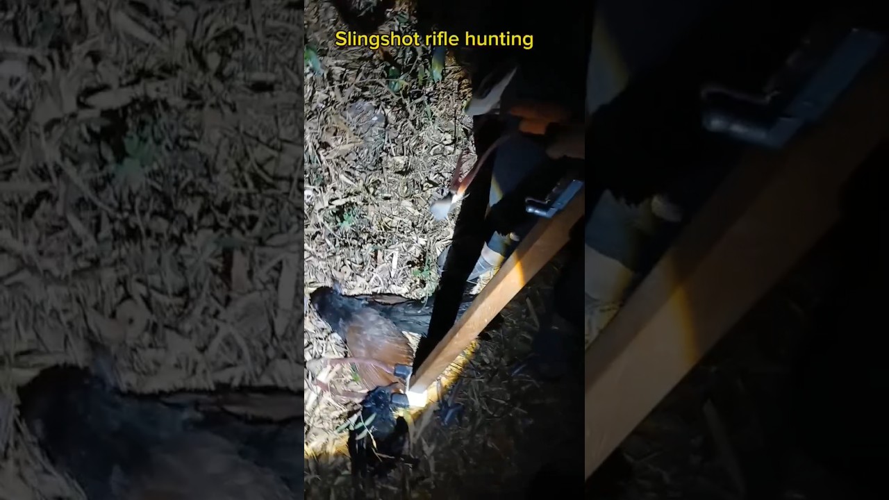 Slingshot rifle hunting 